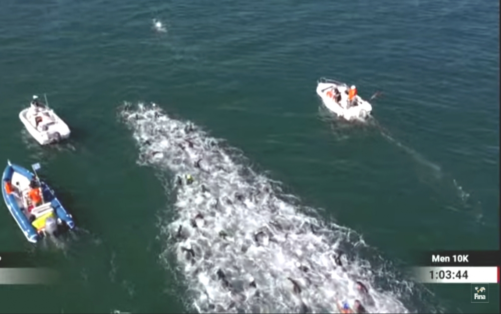 奧運馬拉松游泳資格賽。截圖自大會官網直播。