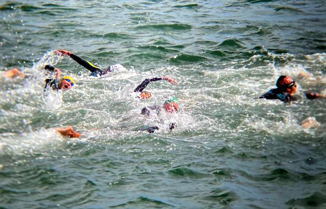 比賽畫面。中華民國游泳協會／提供。